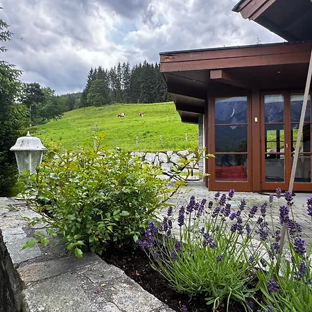 Steinberg Σαλέ Leogang